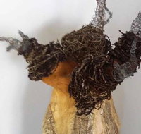 Caldera Wildscapes Gallery - Palm Beach Accommodation