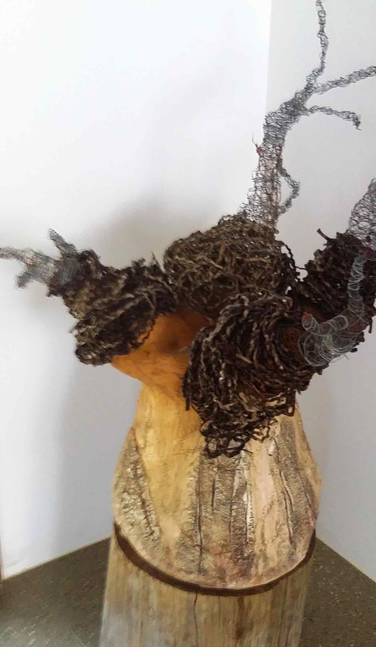 Caldera Wildscapes Gallery - Palm Beach Accommodation 0