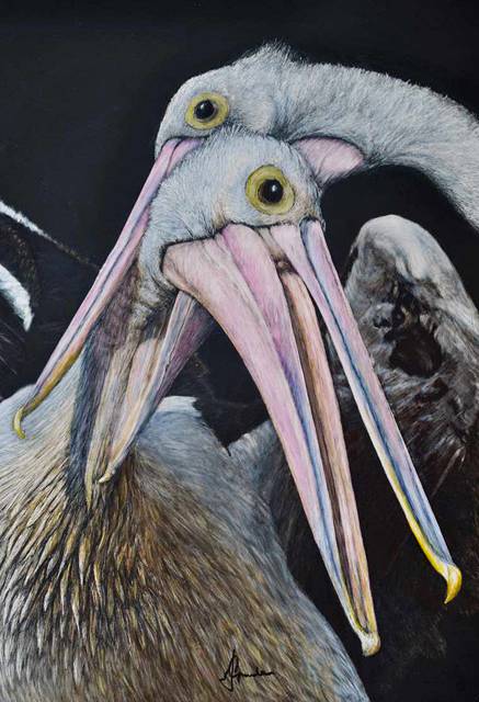 Caldera Wildscapes Gallery - Palm Beach Accommodation 1