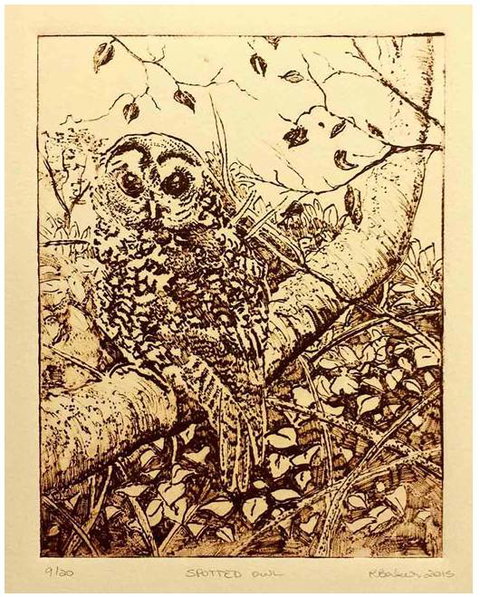 Caldera Wildscapes Gallery - Palm Beach Accommodation 3