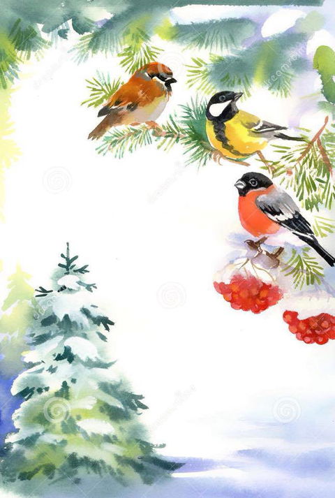 Two Birds Gallery - Palm Beach Accommodation 2