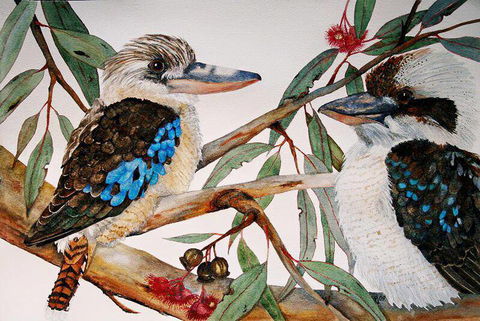 Two Birds Gallery - Palm Beach Accommodation 3