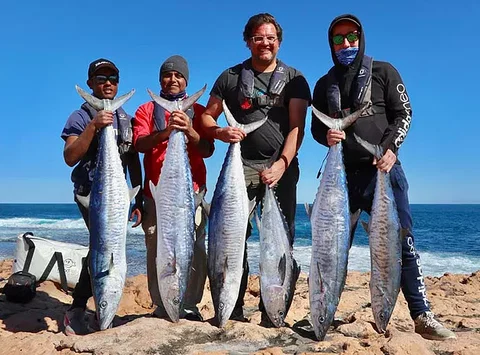 Perth Fishing Safaris - Palm Beach Accommodation 1