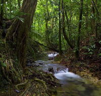 Trek North - Palm Beach Accommodation