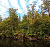 A R Reflections River Cruises - Palm Beach Accommodation