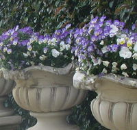 Gardenalia Open Garden and Rare Plant Nursery - Palm Beach Accommodation
