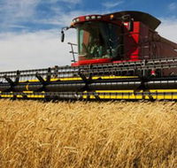 Quirindi Grain and produce - Palm Beach Accommodation