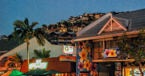 Airlie Beach Party Bus - Palm Beach Accommodation 3