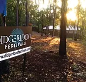Didgeridoo Jam in the Park - Palm Beach Accommodation