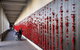 Canberra - The National Capital | Full Day Private Tour | Departs From Sydney - thumb 5