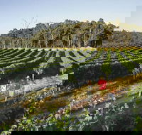 Margaret River Caves Wine and Cape Leeuwin Lighthouse Tour from Perth - Palm Beach Accommodation