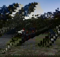Stargazing Busselton with Mobile Observatory - Palm Beach Accommodation
