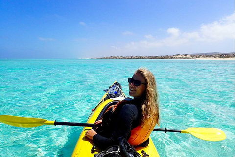 Lagoon Explorer - Ningaloo Reef Full-Day Kayaking And Snorkeling Adventure - Palm Beach Accommodation 0