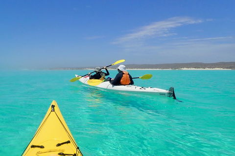 Lagoon Explorer - Ningaloo Reef Full-Day Kayaking And Snorkeling Adventure - Palm Beach Accommodation 7