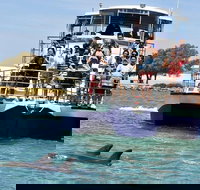 Mandurah Dolphin and Scenic Marine Cruise - Palm Beach Accommodation