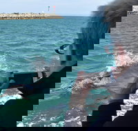 Mandurah Dolphin Island Adventure - Palm Beach Accommodation