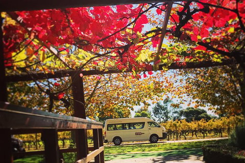 Ultimate Swan Valley Food And Wine Day Trip From Perth - Palm Beach Accommodation 12