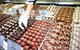 VIP Swan Valley Wine Tour - Premium Small Group Wine & Gourmet Experience - thumb 7