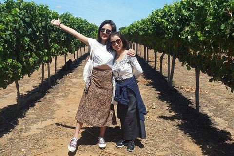 VIP Swan Valley Wine Tour - Premium Small Group Wine & Gourmet Experience - Palm Beach Accommodation 3
