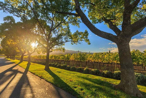 VIP Swan Valley Wine Tour - Premium Small Group Wine & Gourmet Experience - Palm Beach Accommodation 5