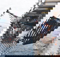 Rottnest Island Wild Seafood Package from Perth with Transfer - Palm Beach Accommodation