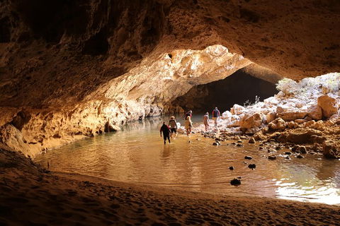 Devonian Reef Explorer - Palm Beach Accommodation 1