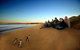 Phillip Island Ultimate Penguin Eco Tour Or Skybox Experience - thumb 0