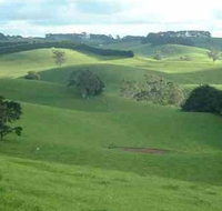 Day Tour of Phillip Island  Surrounding Region - Palm Beach Accommodation