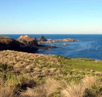 Phillip Island Walking  Bird Watching Tour - Palm Beach Accommodation