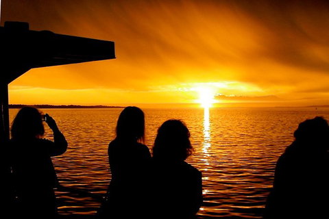 Phillip Island Twilight Cruise - Palm Beach Accommodation 1