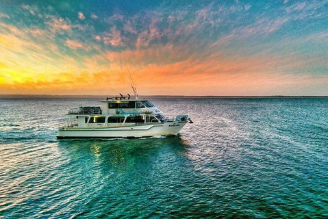 Phillip Island Twilight Cruise - Palm Beach Accommodation 3