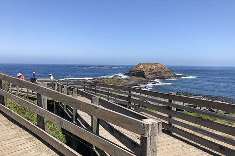 Day Tour Of Phillip Island, The Surrounding Region And Wine Tasting - Palm Beach Accommodation 14