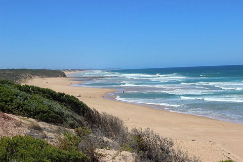 Day Tour Of Phillip Island, The Surrounding Region And Wine Tasting - Palm Beach Accommodation 5
