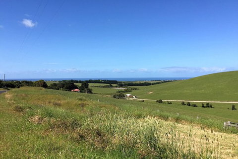 Day Tour Of Phillip Island, The Surrounding Region And Wine Tasting - Palm Beach Accommodation 6