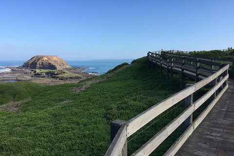 Day Tour Of Phillip Island, The Surrounding Region And Wine Tasting - Palm Beach Accommodation 11
