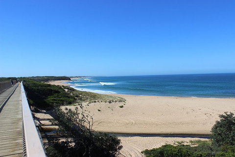 Day Tour Of Phillip Island, The Surrounding Region And Wine Tasting - Palm Beach Accommodation 4