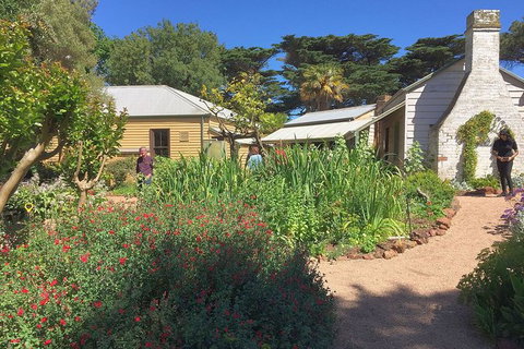 Phillip Island Tour Including Phillip Island Penguin Parade - Palm Beach Accommodation 9