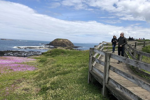 Phillip Island Tour Including Phillip Island Penguin Parade - Palm Beach Accommodation 10