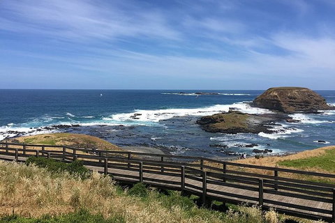 Phillip Island Tour Including Phillip Island Penguin Parade - Palm Beach Accommodation 6