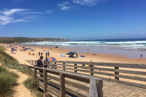 Phillip Island Tour Including Phillip Island Penguin Parade - Palm Beach Accommodation 2