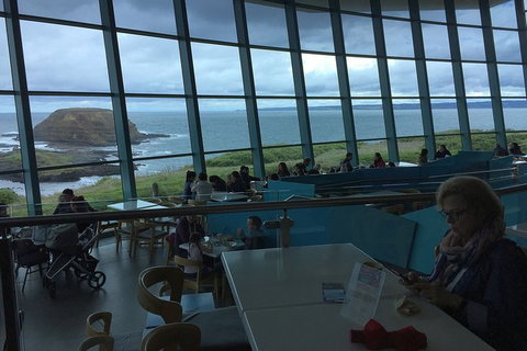 Phillip Island Tour Including Phillip Island Penguin Parade - Palm Beach Accommodation 4