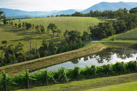 CHEVY CONVERTIBLE Package For 2 People- Wine Lunch Cheese & Chocolate From Melb. - Palm Beach Accommodation 9