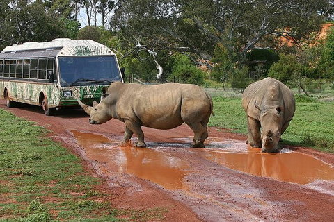 Melbourne Attractions Pass Including Melbourne Zoo, Hop-on Hop-off Bus And SEA LIFE Aquarium - Palm Beach Accommodation 13