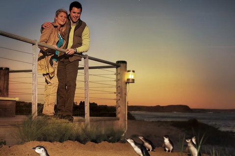 Melbourne Attractions Pass Including Melbourne Zoo, Hop-on Hop-off Bus And SEA LIFE Aquarium - Palm Beach Accommodation 10