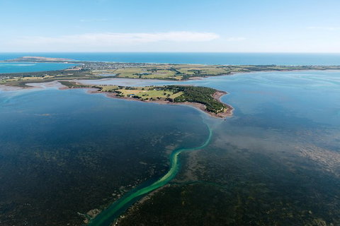 Phillip Island Helicopter Tour - Palm Beach Accommodation 9