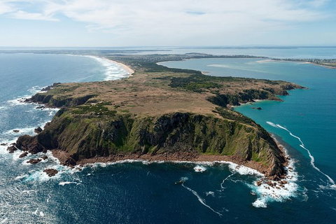 Phillip Island Helicopter Tour - Palm Beach Accommodation 7
