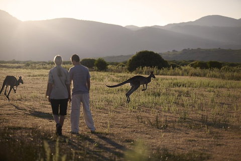 Overnight Daylesford And Macedon Ranges Gourmet Food Trail Tour From Melbourne - Palm Beach Accommodation 4