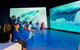 Phillip Island Antarctic Journey: Entry Ticket - thumb 0