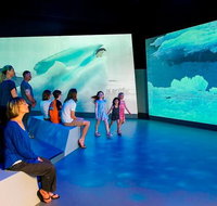 Phillip Island Antarctic Journey Entry ticket - Palm Beach Accommodation
