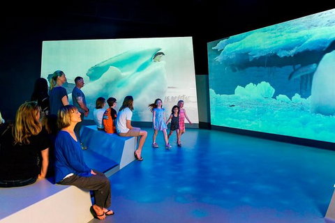 Phillip Island Antarctic Journey: Entry Ticket - Palm Beach Accommodation 0